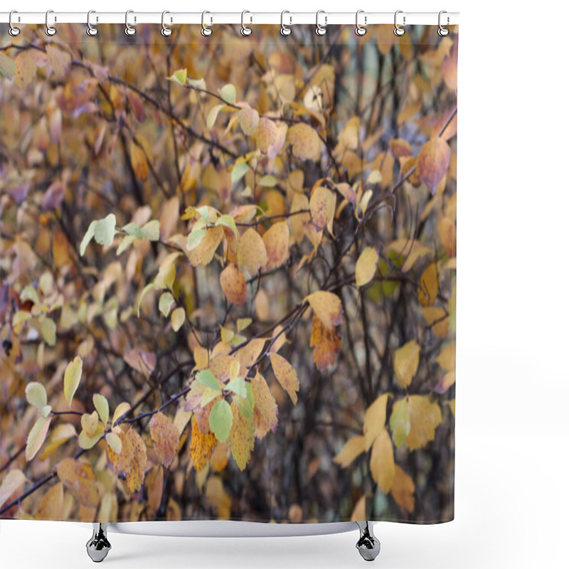 Personality  A Close-up Of A Shrub With Vibrant Golden And Yellow Leaves, Showcasing The Warm And Rich Colors Of The Autumn Season Shower Curtains