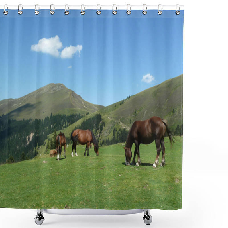 Personality  Wild Horses Grazing In The Mountains Shower Curtains