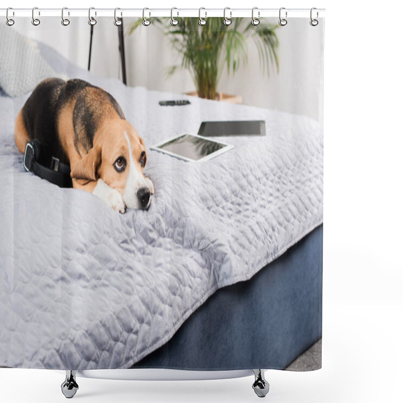 Personality  Dog With Digital Devices Shower Curtains