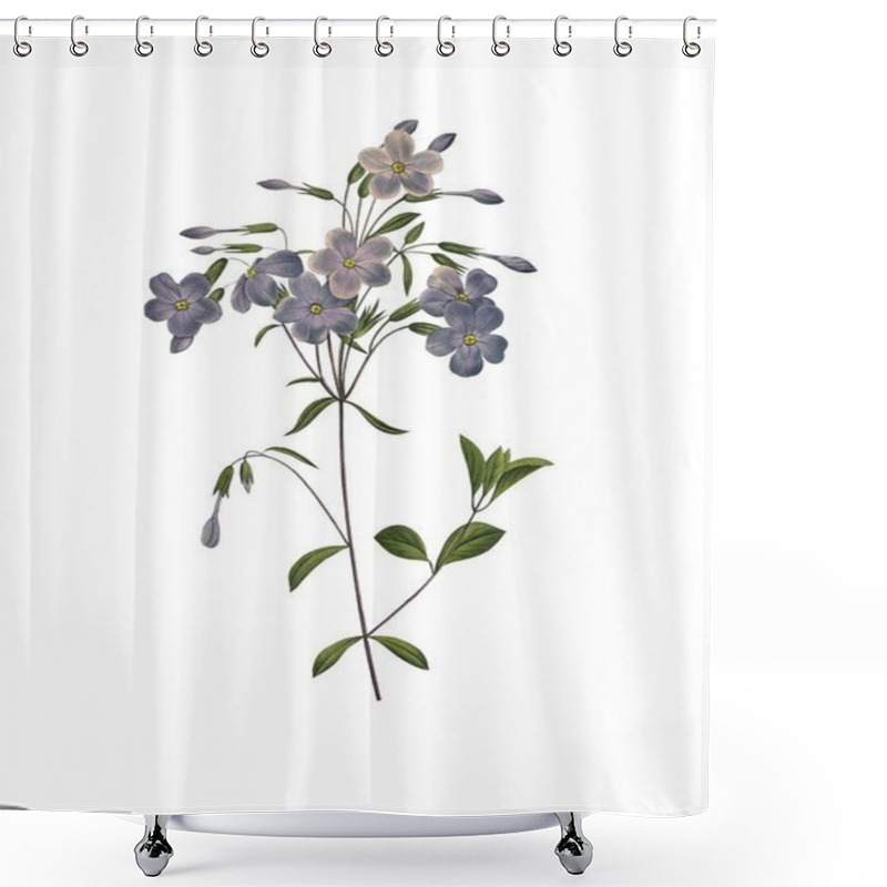 Personality  Cinquefoil Antique Flower Illustration Shower Curtains