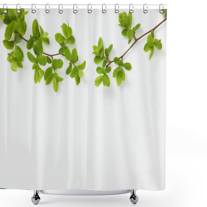 Personality  Top View Of Branches With Blooming Green Leaves On White Background Shower Curtains