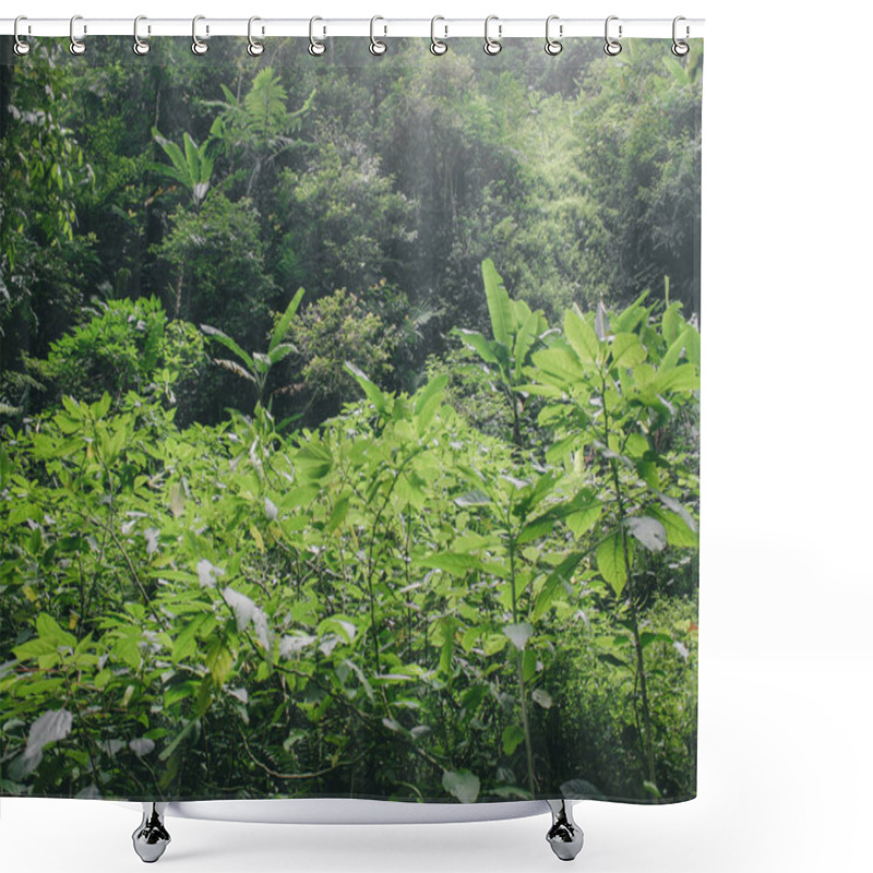 Personality  Green Leaves Background, Nature, Flora, Foliage, Environment, Forest Shower Curtains