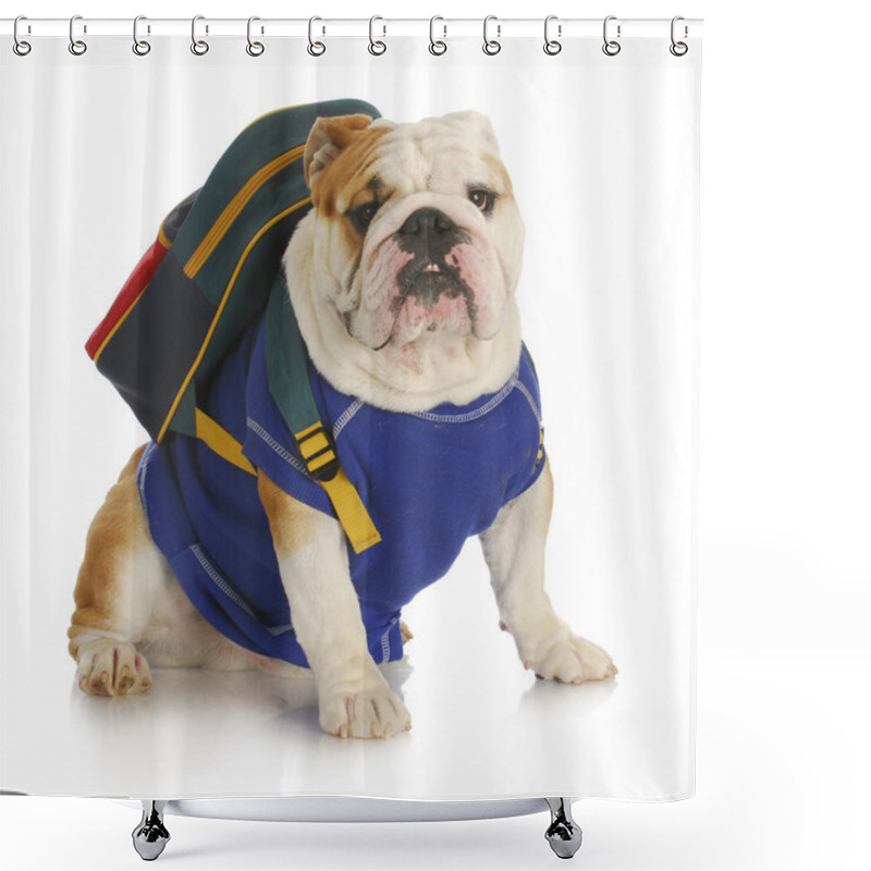 Personality  Dog School Shower Curtains