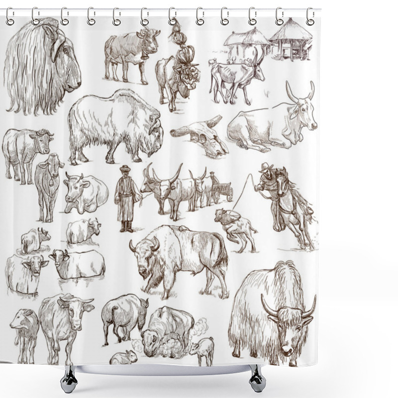 Personality  Cows And Cattle - Pack Of Animals. Hand Drawings. Shower Curtains