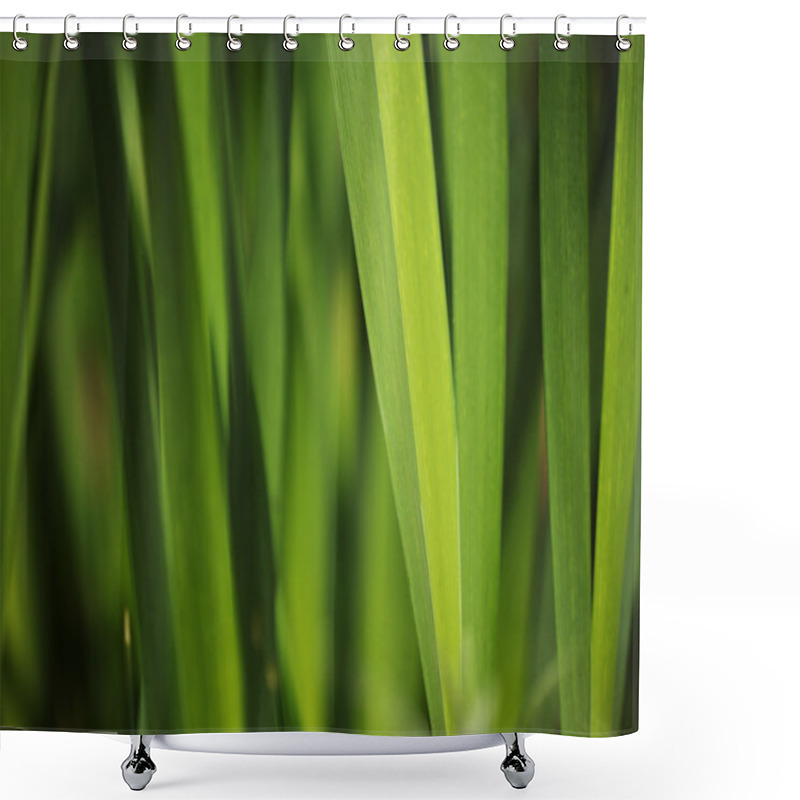 Personality  Green Grass Background Shower Curtains