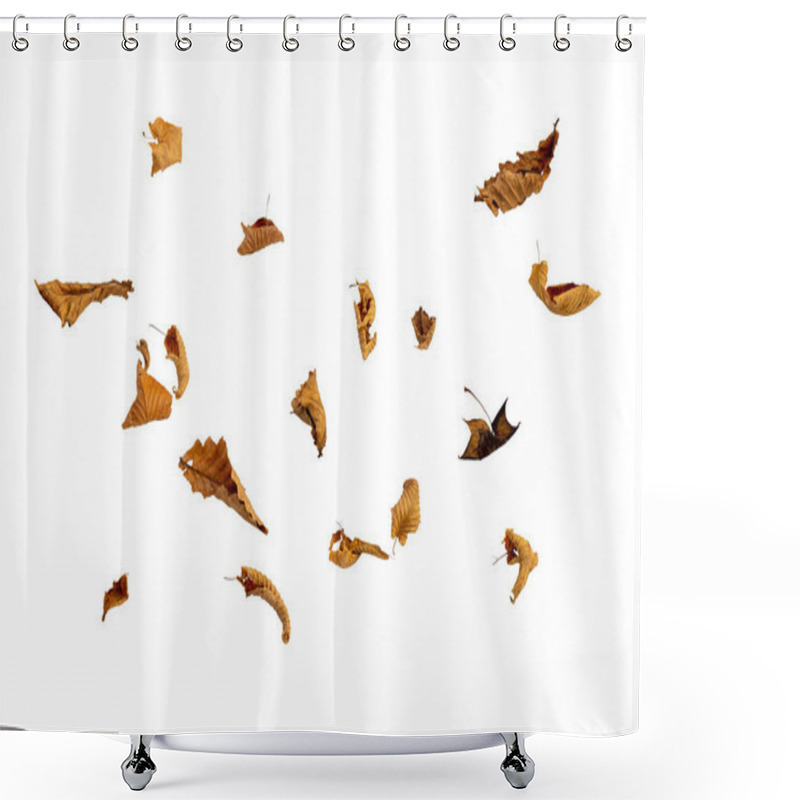 Personality  Dry Autumn Falling Leaves On White Background Shower Curtains