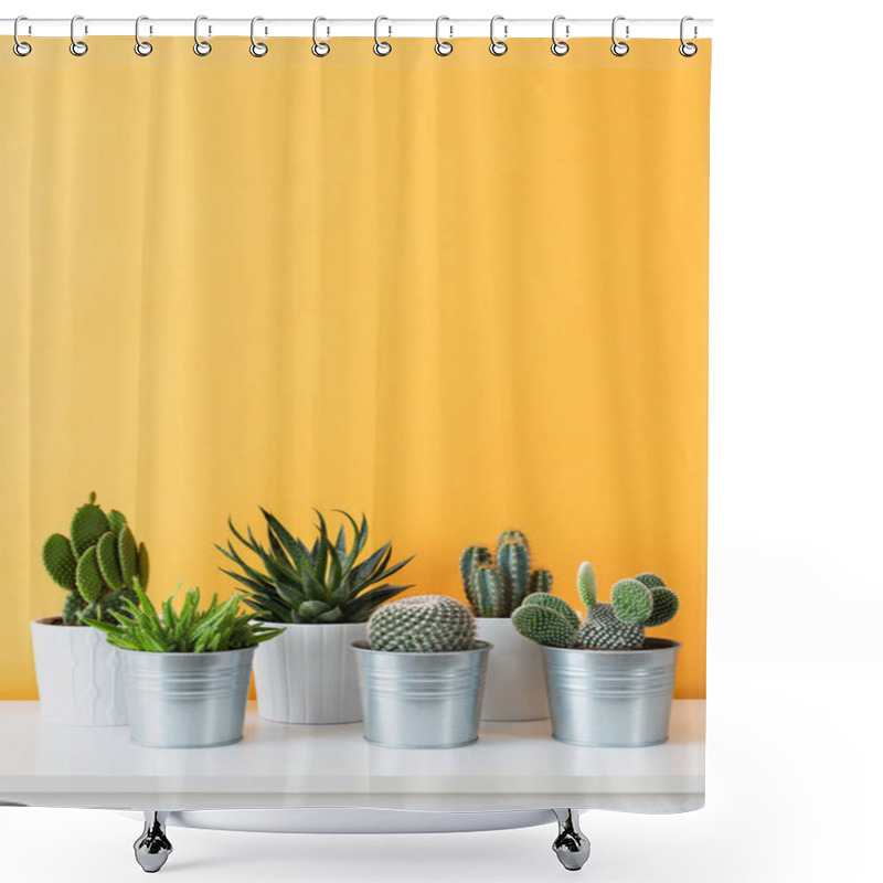 Personality  Collection Of Various Cactus And Succulent Plants In Different Pots. Potted Cactus House Plants On White Shelf Against Pastel Mustard Colored Wall. Shower Curtains