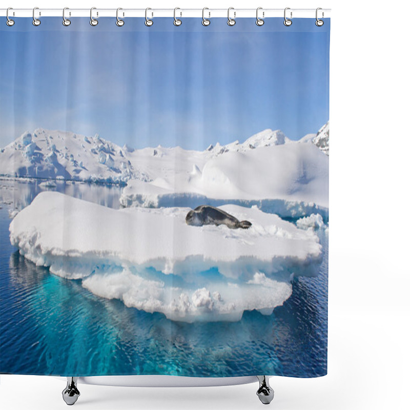 Personality  Leopard Seal Resting On Ice Floe Shower Curtains