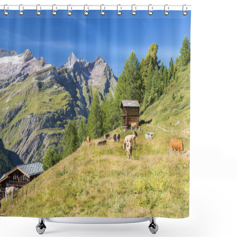 Personality  Rural Landscape With Cows  In The Pennine Alps, Canton Of Valais, Switzerland Shower Curtains