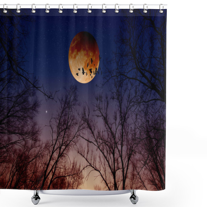 Personality  Lunar, Moon Eclipse Shower Curtains