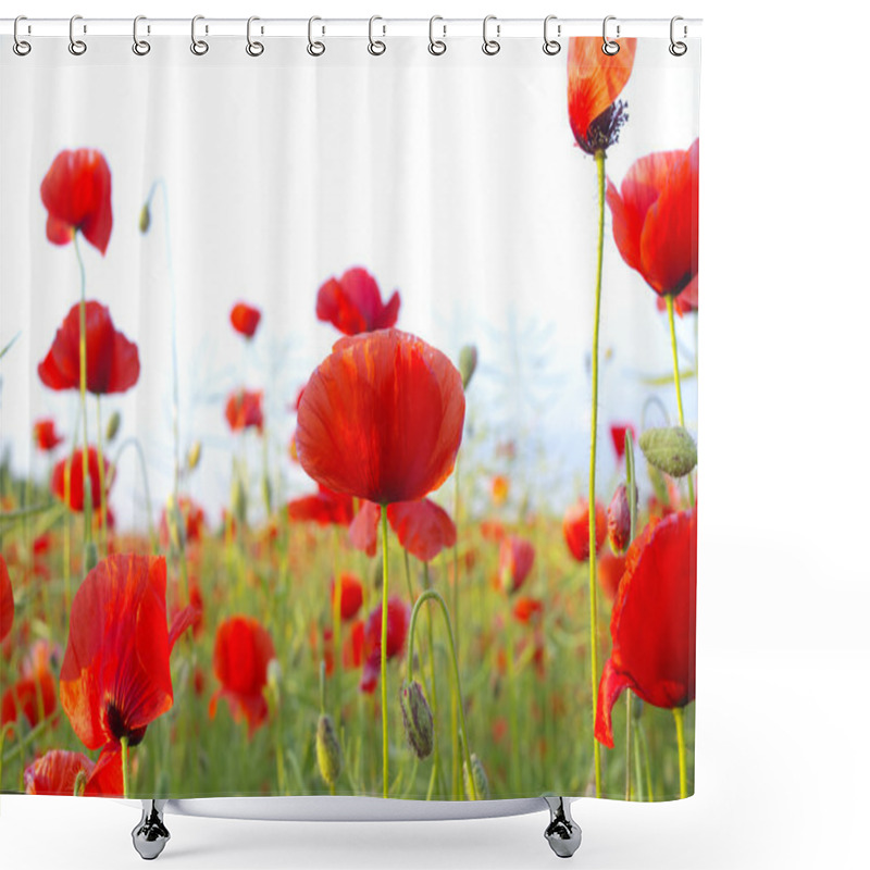 Personality  Red Poppies Shower Curtains