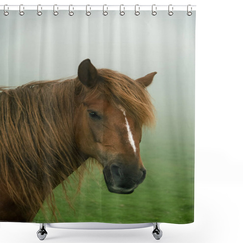 Personality  A Hutsul Horse With A Mane, A Portrait Of A Horse In The Fog On A Paddock In The Ukrainian Carpathians Shower Curtains