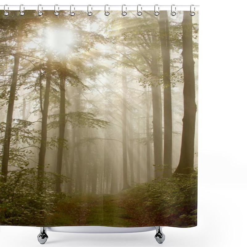 Personality  Trail Through A Misty Forest Shower Curtains