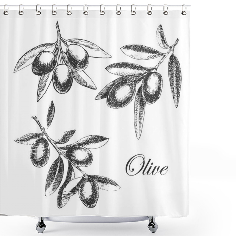 Personality  Vector Hand Drawn Olive Branch. Detailed Sketch Illustration Shower Curtains