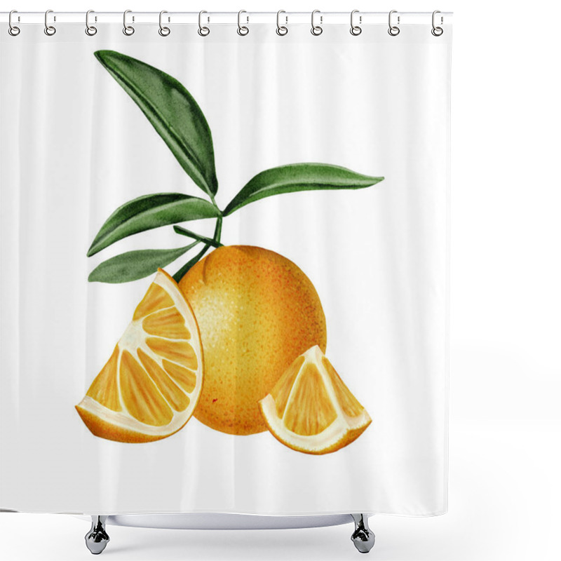 Personality  Orange On A Branch. Composition With Cut Orange Pieces. Juicy Illustration. Orange, White And Green Color. Watercolor Illustration. No Background.  Shower Curtains