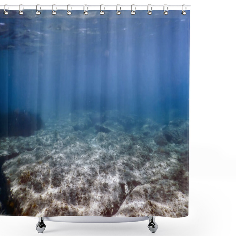 Personality  Underwater Scene Sunlight, Fish Underwater Life. Shower Curtains