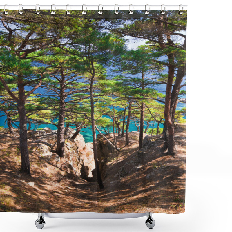 Personality  Pine Trees And Blue Sea Shower Curtains