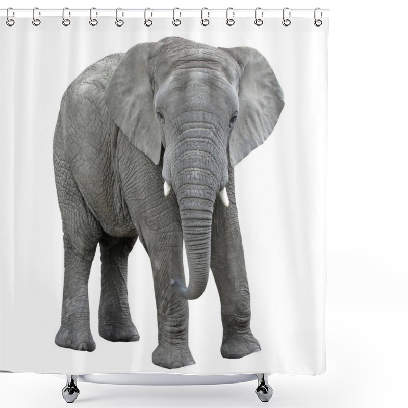 Personality  Elephant Isolate On White Background. African Animal. Shower Curtains