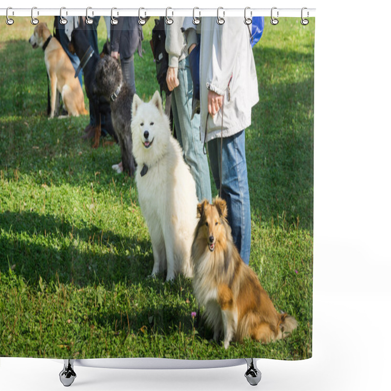 Personality  A Group Of Dogs Sitting Near Their Trainers In A Dog School Shower Curtains