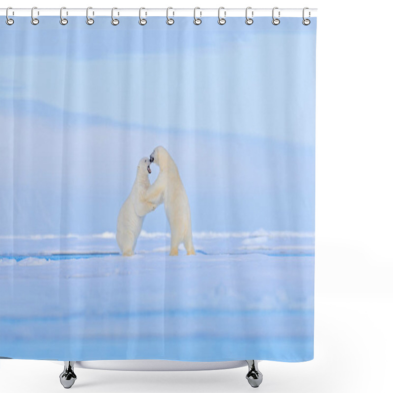 Personality  Polar Bears Dancing Fight On The Ice. Two Bears Love On Drifting Ice With Snow, White Animals In Nature Habitat, Svalbard, Norway. Animals Playing In Snow, Arctic Wildlife.  Shower Curtains