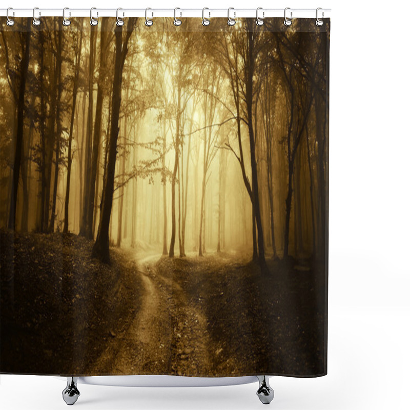 Personality  Road Through Misty Forest Shower Curtains