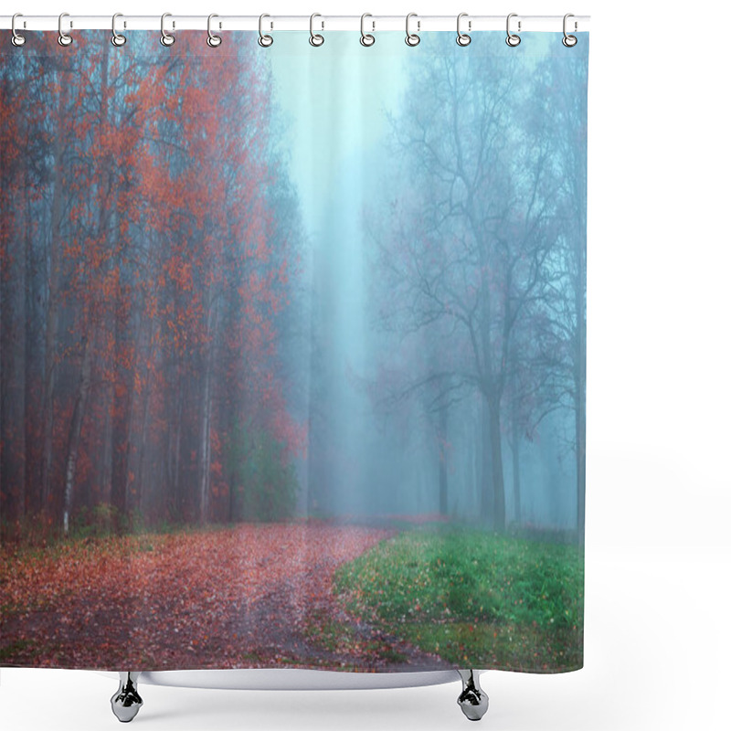 Personality  Mystical Autumn Landscape With Fog In The Park. Shower Curtains