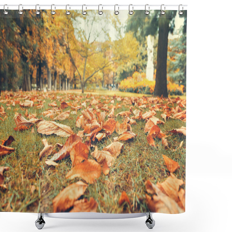 Personality  Autumn Leaves On Grass In Luxembourg Gardens Shower Curtains