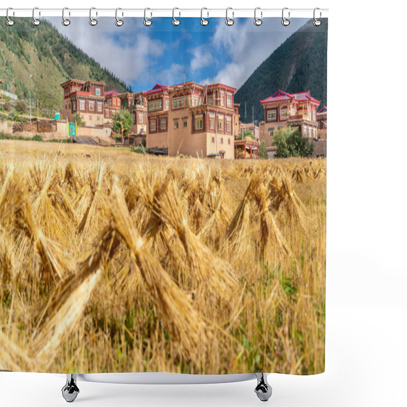 Personality  Harvest Work On The Millet Field In The Small Tibetan Village On Tibet Shower Curtains