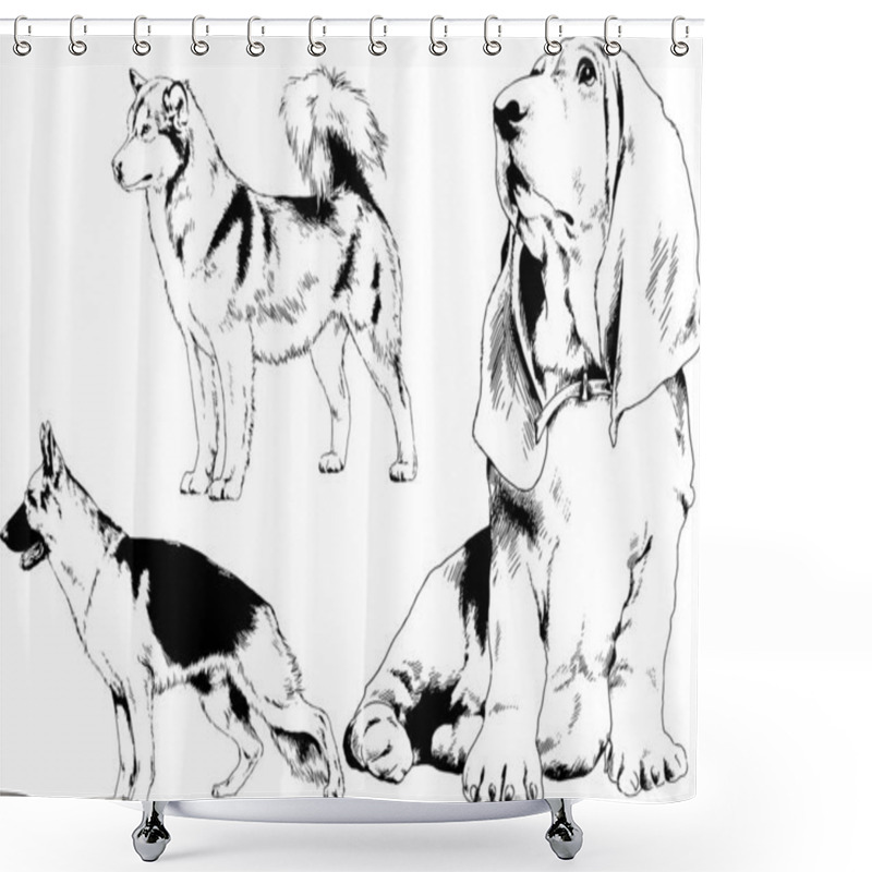 Personality  Vector Drawings Sketches Pedigree Dogs In The Racks Drawn In Ink By Hand , Objects With No Background Shower Curtains