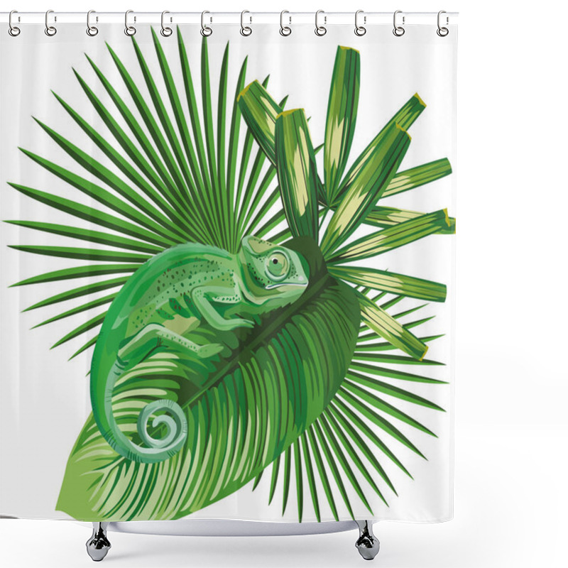 Personality  Chameleon On The Tropical Leaves White Background Shower Curtains