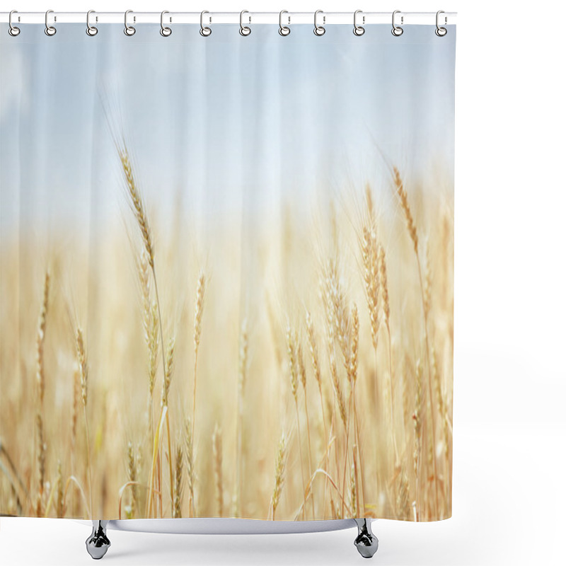 Personality  Wheat Field Shower Curtains