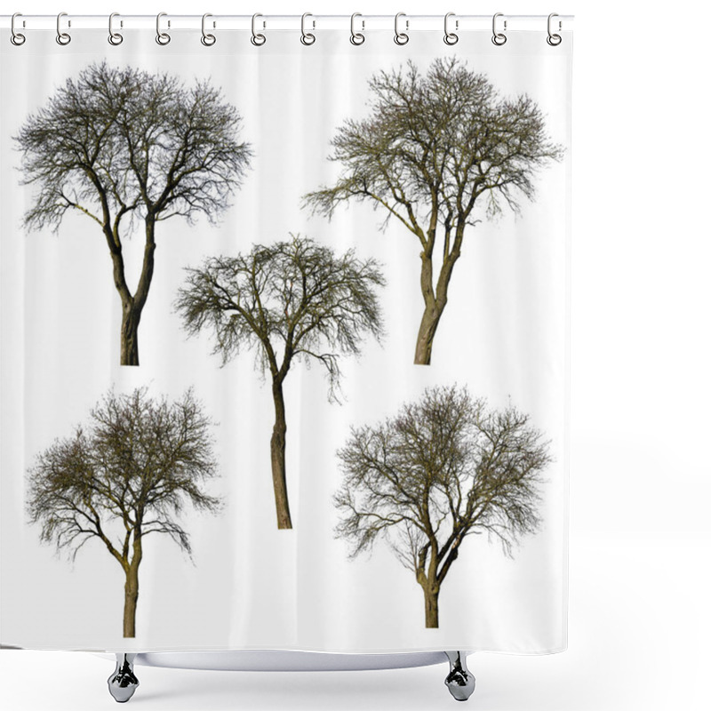 Personality  Set Of Trees Without Leaves Isolated On White Background. Shower Curtains