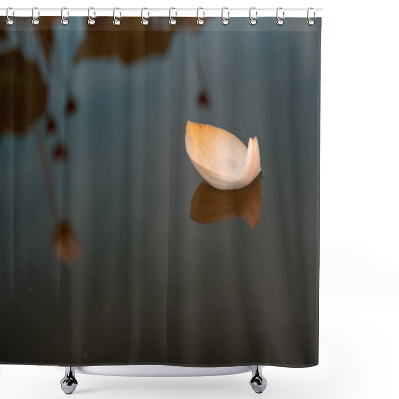 Personality  Petal Of Water Lilly Floating On Surface Shower Curtains