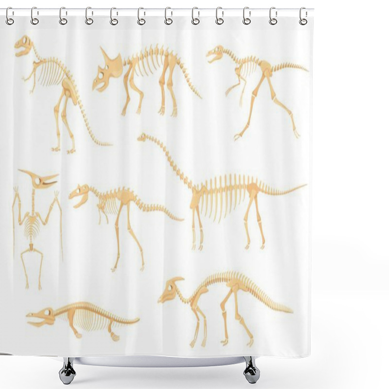 Personality  Cartoon Dinosaur Skeletons, Dinosaurs Prehistoric Bone Fossils. Triceratops, Pterodactyl, Tyrannosaurus, Ancient Skeleton For Museum Vector Set Shower Curtains