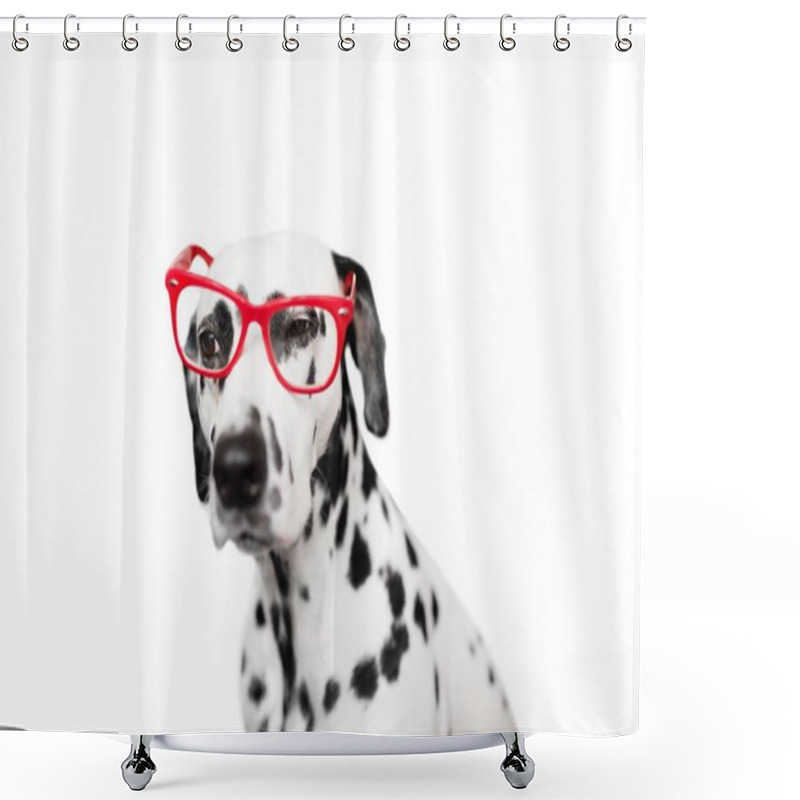 Personality  Dalmatian Dog Portrait In The Glasses Shower Curtains