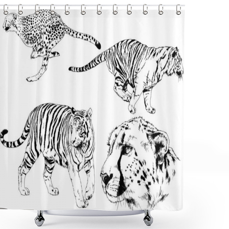 Personality  Set Of Vector Drawings On The Theme Of Predators Tigers Are Drawn By Hand With Ink Tattoo Logos Shower Curtains