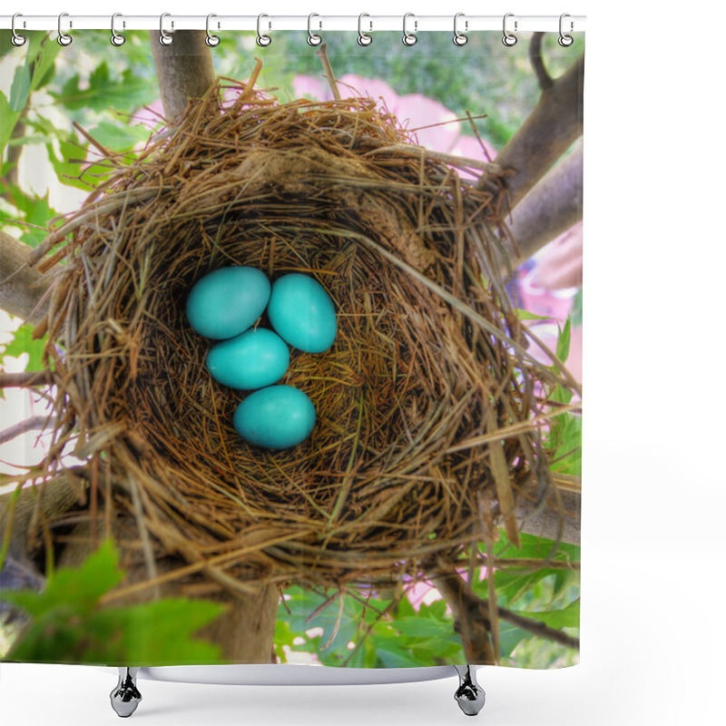 Personality  Robin Eggs Shower Curtains