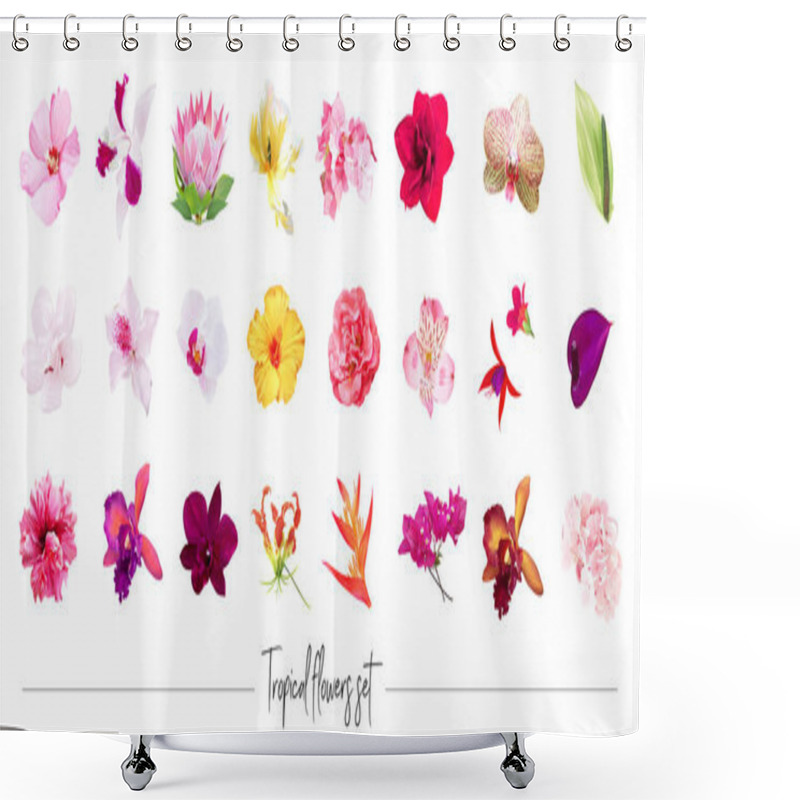 Personality  Exotic Tropical Flowers Big Vector Clipart Set. Orchid, Strelitzia, Hibiscus, Bougainvillea, Gloriosa Shower Curtains