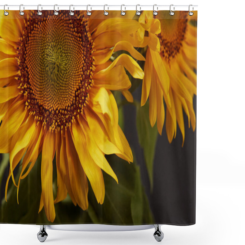 Personality  Dark Background With Beautiful Yellow Sunflowers, On Black Shower Curtains