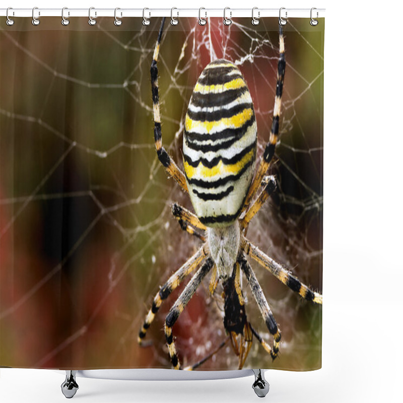 Personality  Wasp Spider Shower Curtains