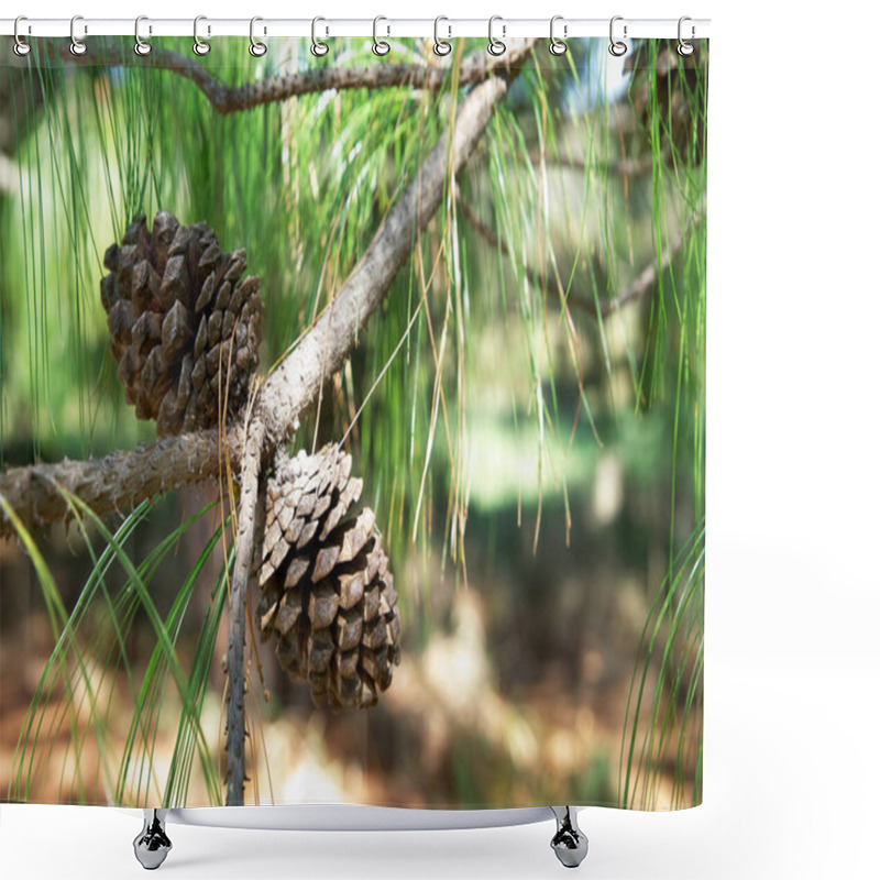 Personality  Pine Cone In The Forest Shower Curtains