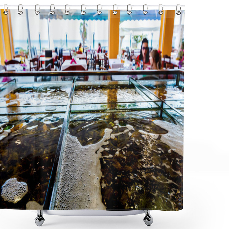 Personality  Fresh Seafood For Sale Inside Of Divided Aquarium In A Restauran Shower Curtains