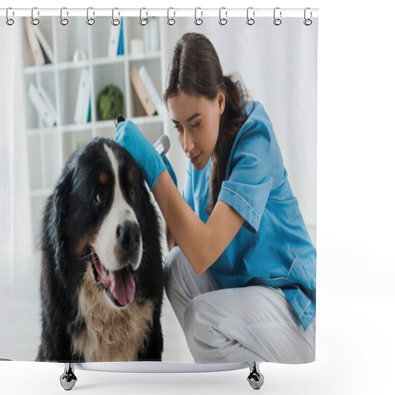 Personality  Young, Attentive Veterinarian Examining Ear Of Berner Sennenhund Dog With Otoscope Shower Curtains