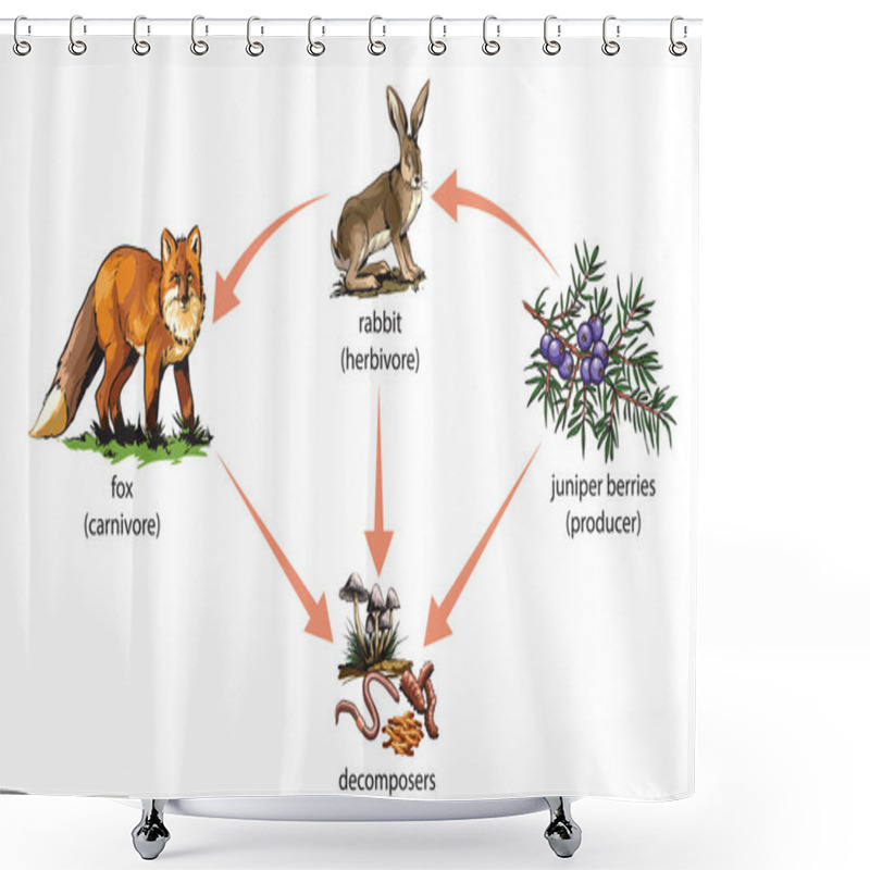 Personality  Example Of Food Chain: Juniper Barries - Rabbit - Fox. Shower Curtains