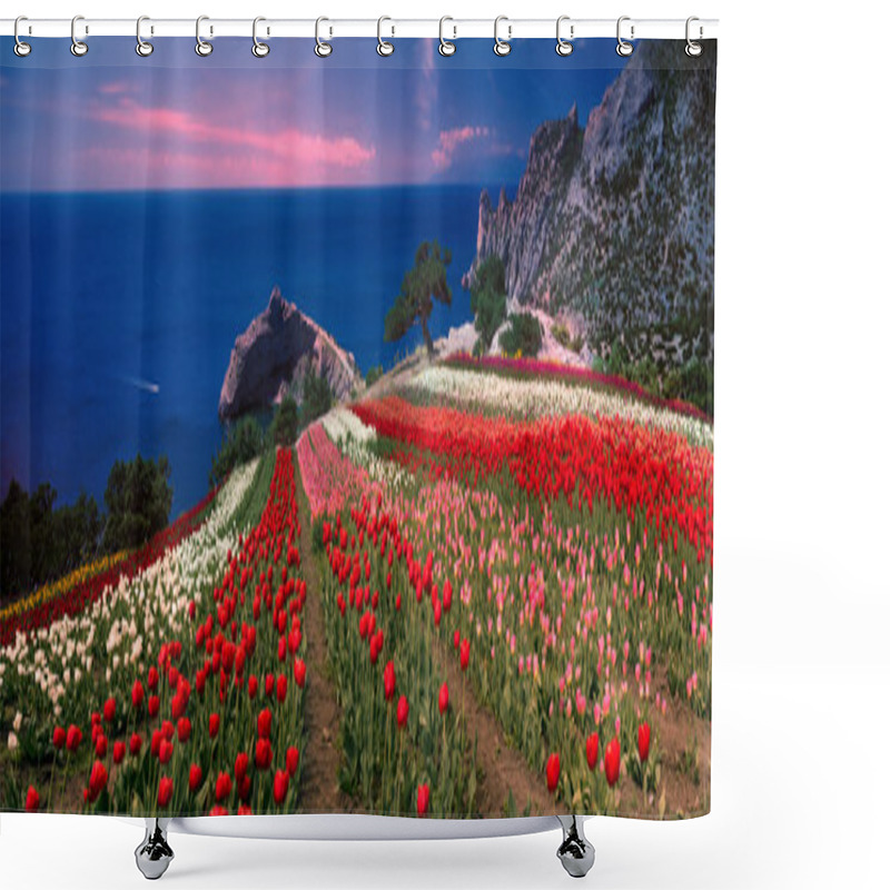 Personality  Tulips In Crimea At Sunrise Shower Curtains