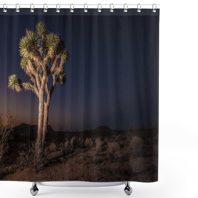 Personality  Joshua Tree During Sunset In National Park Shower Curtains