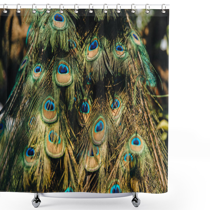 Personality  Feathers Shower Curtains