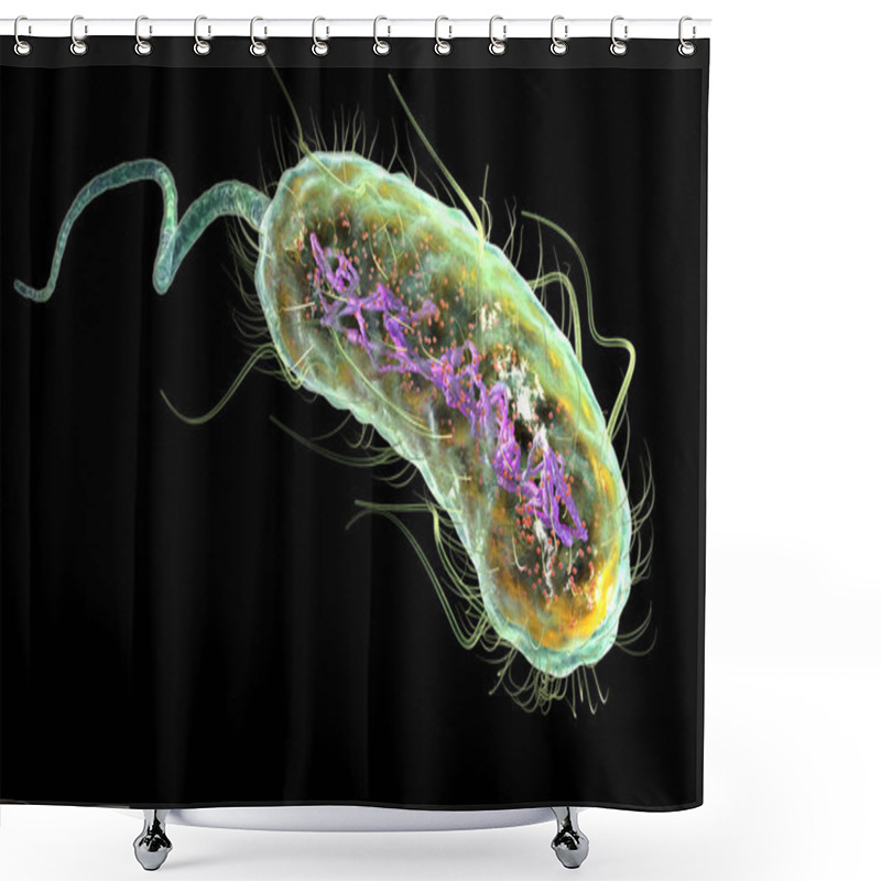 Personality  Escherichia Coli Bacteria (E. Coli). Medically Accurate 3D Illus Shower Curtains