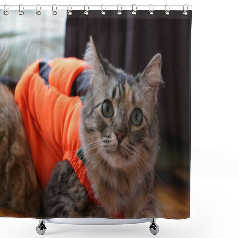 Personality  Halloween Pumpkin Cat Shower Curtains