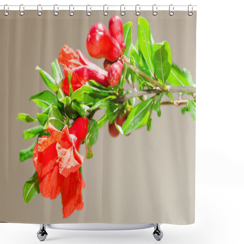 Personality  Sunlit Branch With Spring Red Pomegranate Blossom Shower Curtains